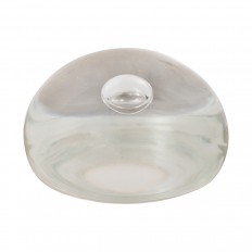 Clear Murano glass paperweight 