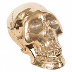 Brass Skull Sculpture